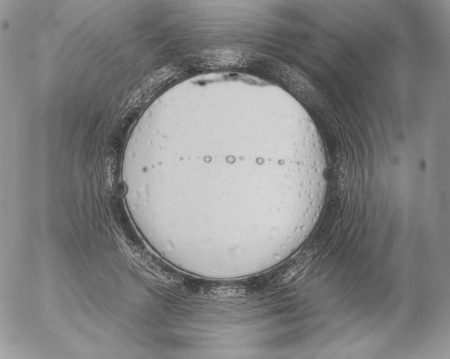 X0000052610546200507221702