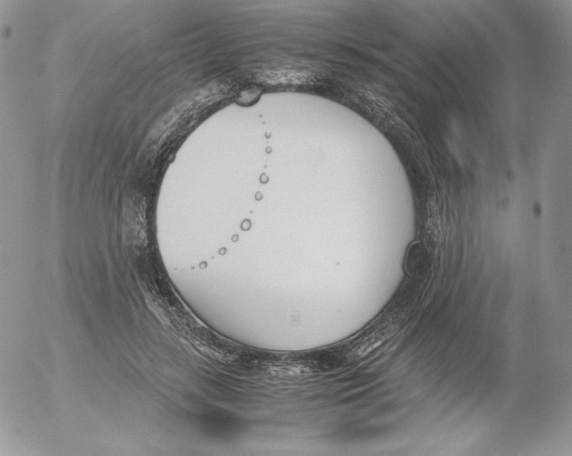 X0000052610547200507221702