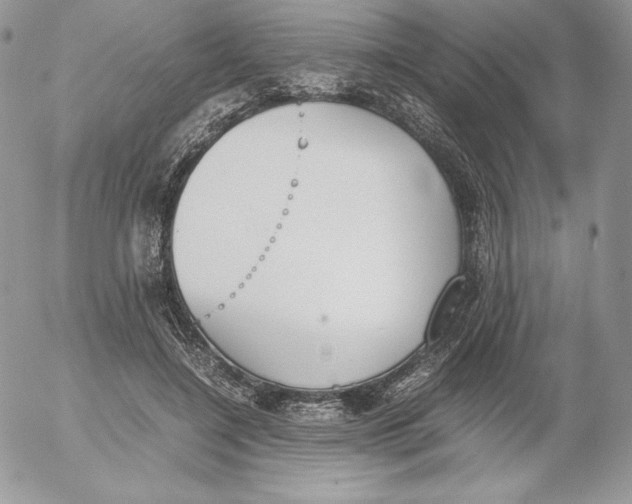 X0000052610548200507221702