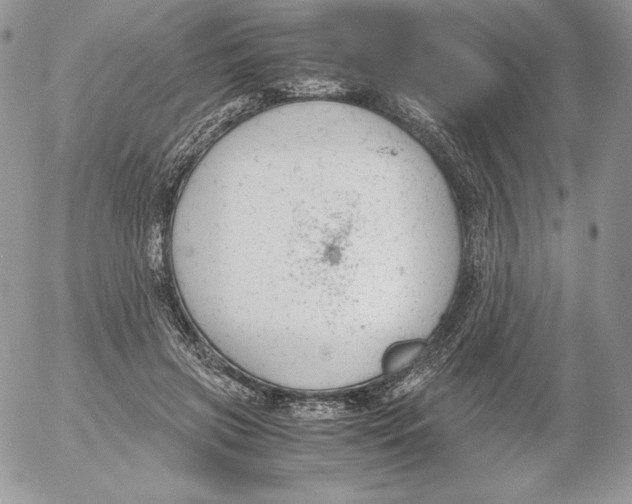 X0000052610549200507221702