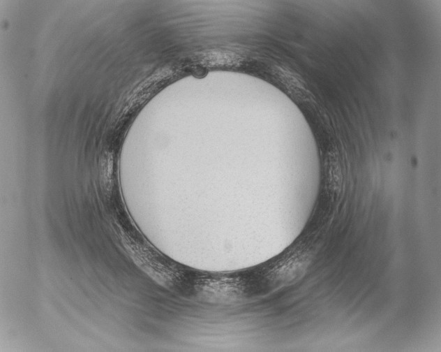 X0000052610550200507221702