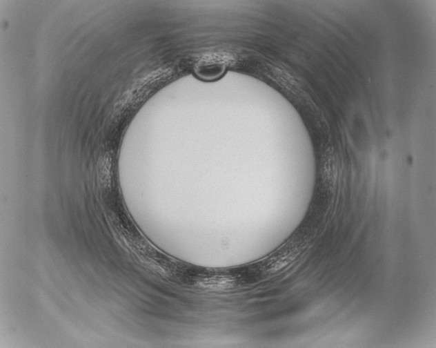 X0000052610551200507221702