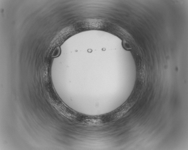 X0000052610552200507221702