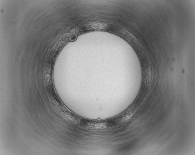 X0000052610553200507221702