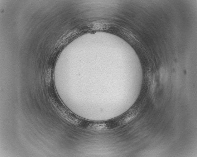 X0000052610554200507221702