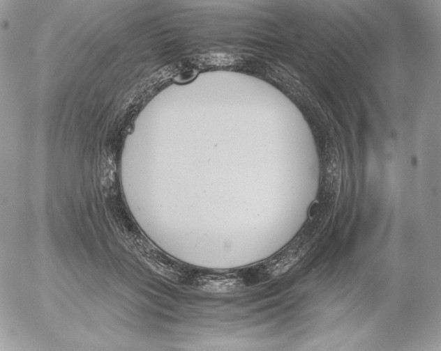 X0000052610555200507221702