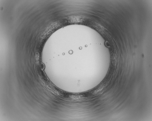 X0000052610556200507221702