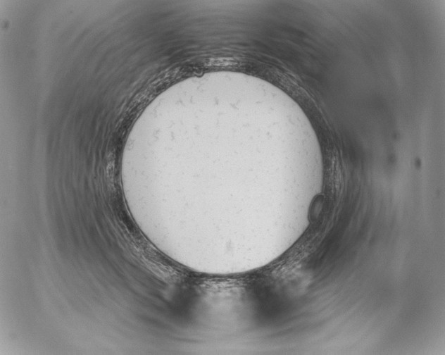 X0000052610557200507221702