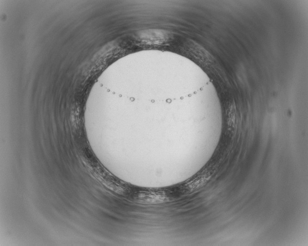 X0000052610559200507221702