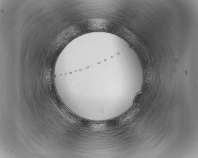 X0000052610560200507221702