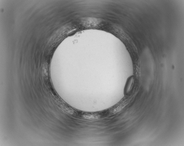 X0000052610561200507221702