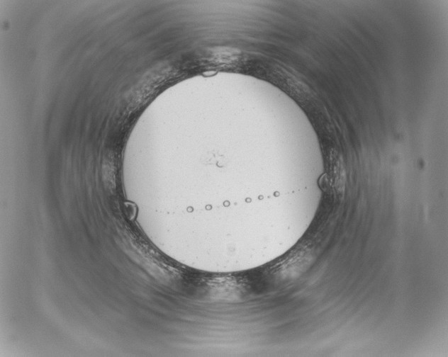 X0000052610562200507221702