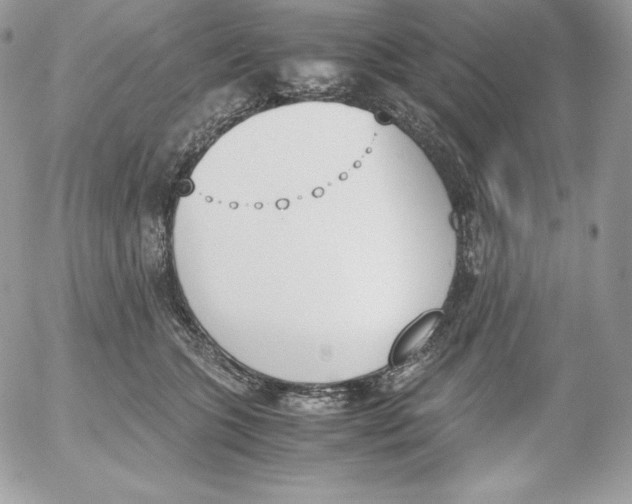 X0000052610563200507221702