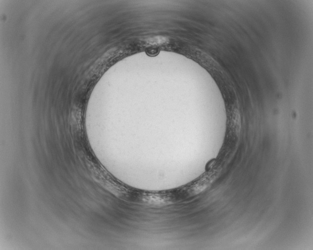 X0000052610565200507221702