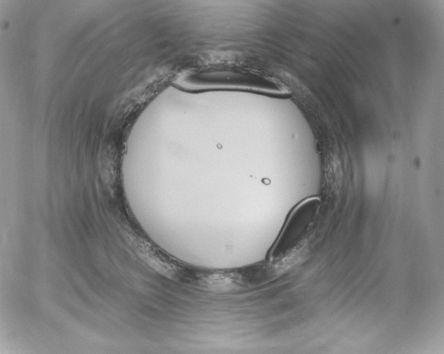 X0000052610566200507221702