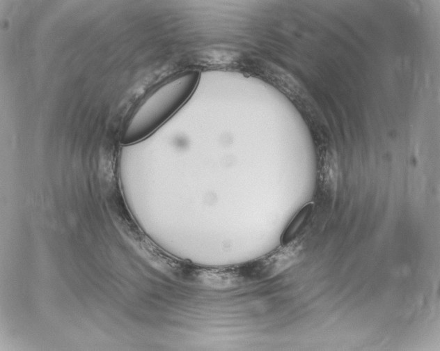 X0000052610568200507221702