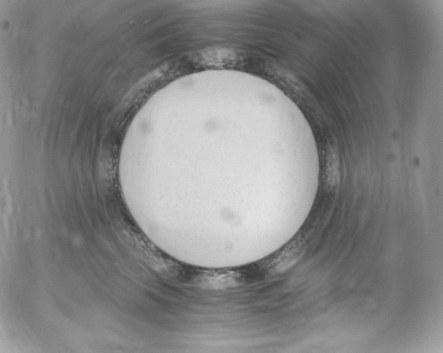 X0000052610569200507221702