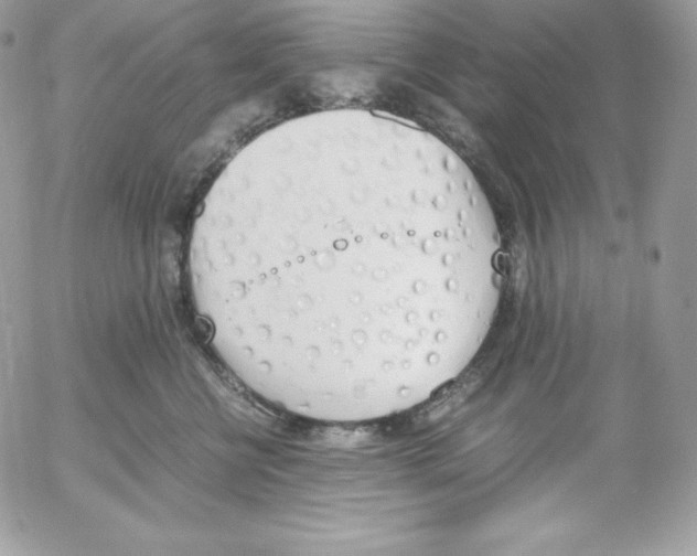 X0000052610570200507221702