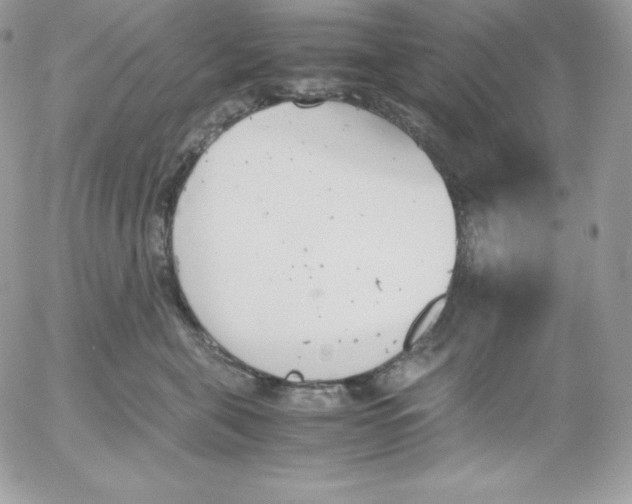 X0000052610571200507221702