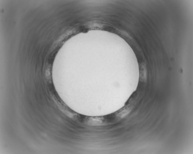 X0000052610573200507221702