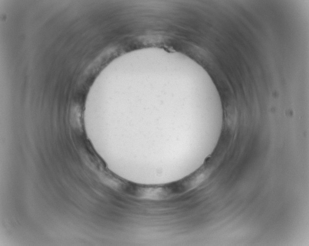 X0000052610575200507221702