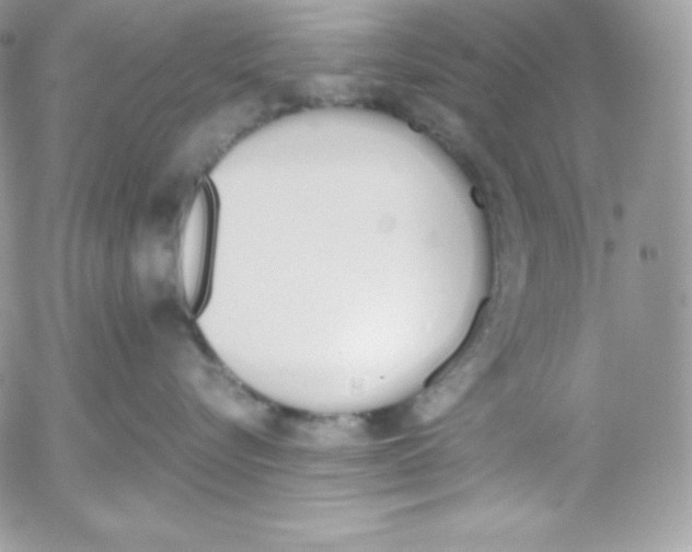 X0000052610576200507221702