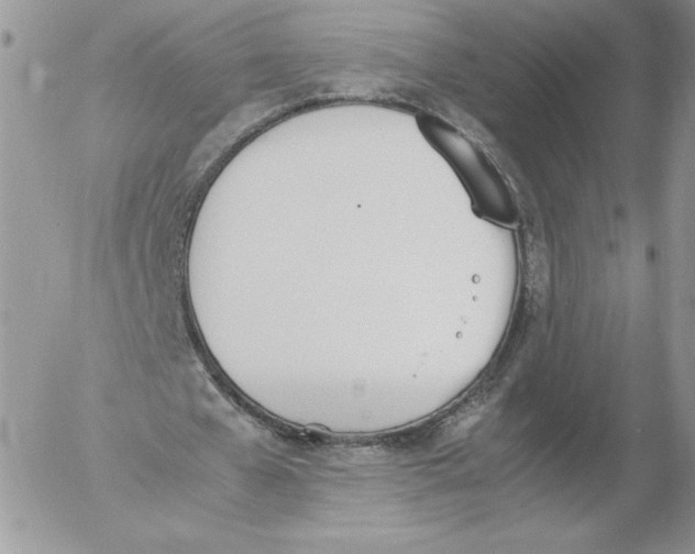 X0000052610577200507221701