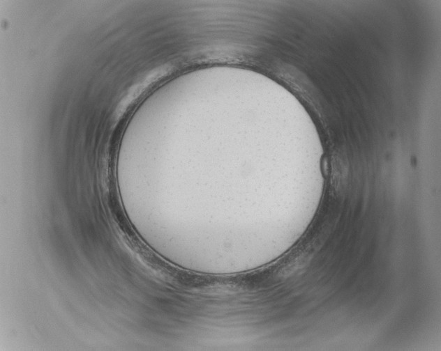 X0000052610578200507221701