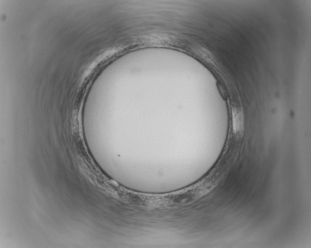 X0000052610579200507221701