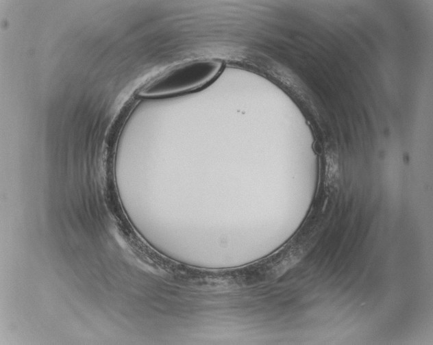 X0000052610580200507221701