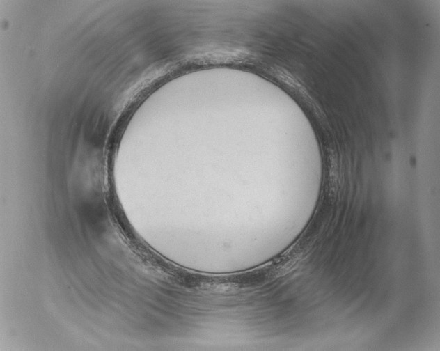 X0000052610582200507221701