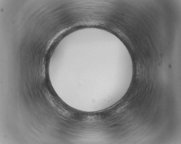 X0000052610584200507221701