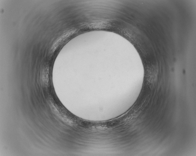 X0000052610586200507221701