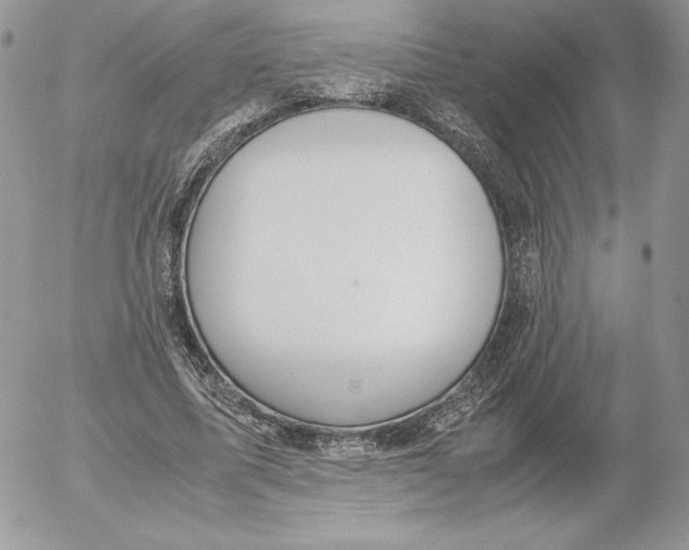 X0000052610587200507221701