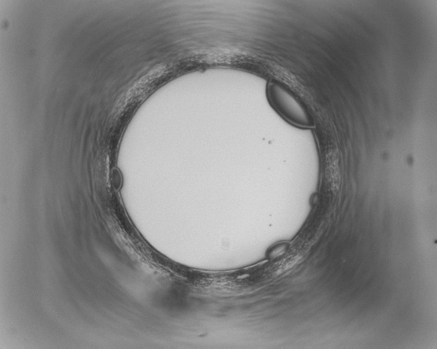 X0000052610589200507221701