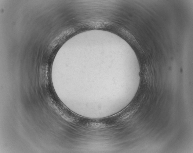 X0000052610590200507221701