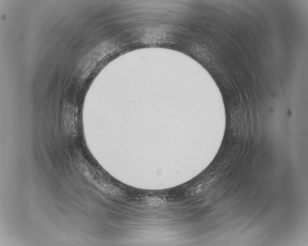 X0000052610592200507221701