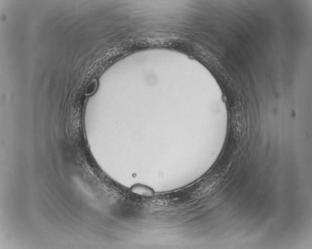 X0000052610593200507221701