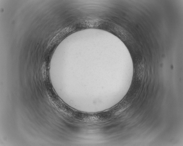 X0000052610594200507221701