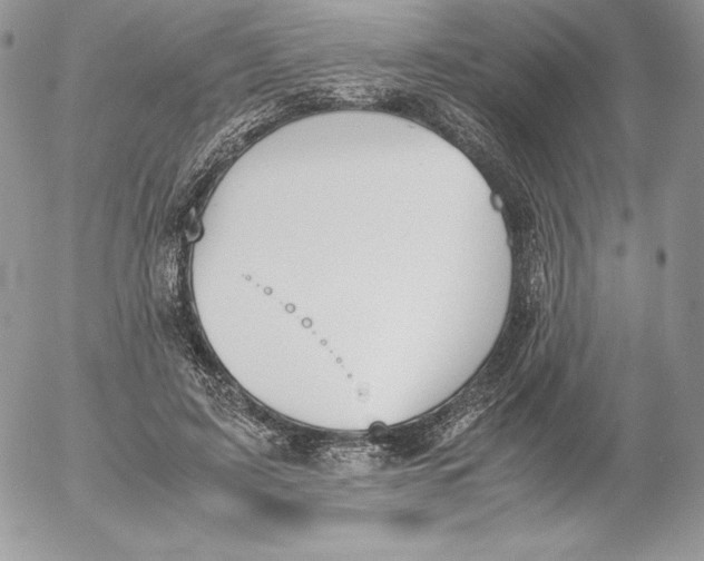 X0000052610595200507221701