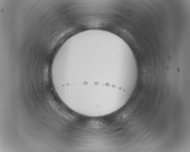 X0000052610596200507221701