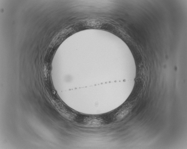 X0000052610597200507221701