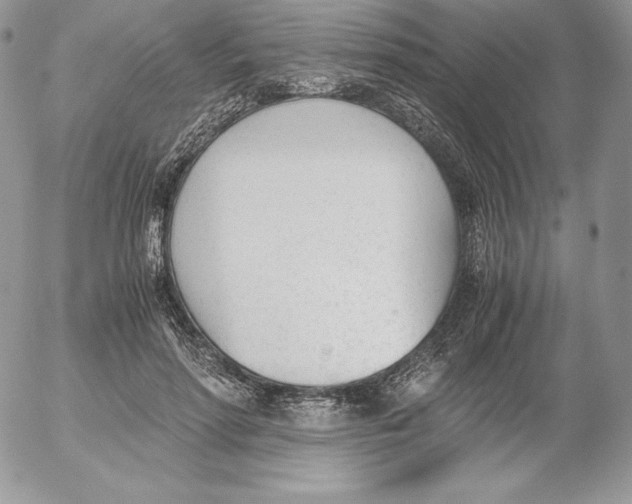 X0000052610598200507221701