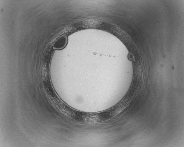 X0000052610599200507221701