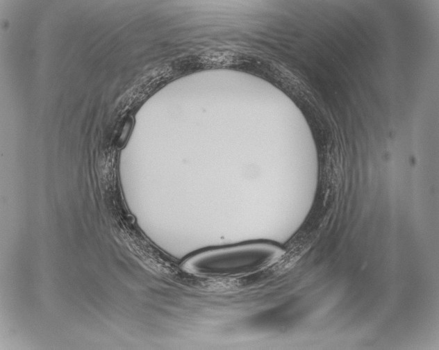 X0000052610601200507221701