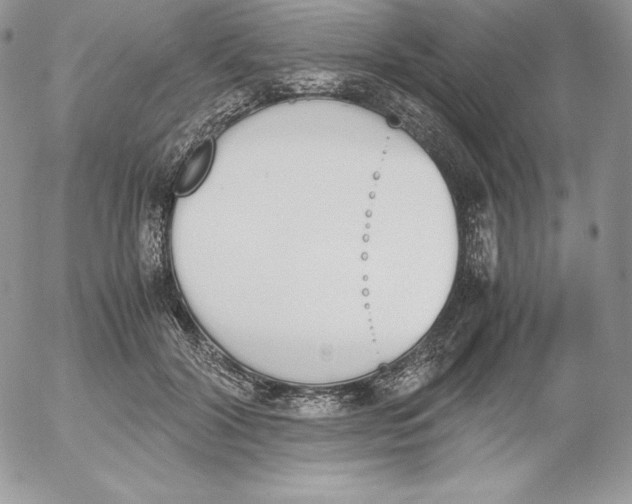 X0000052610604200507221701