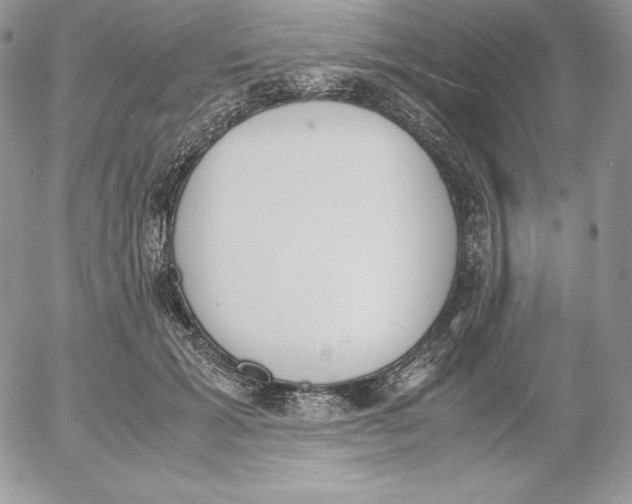 X0000052610605200507221701