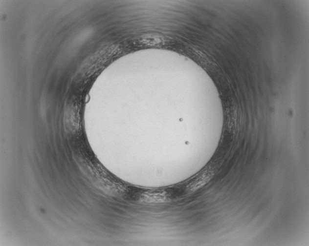 X0000052610606200507221701