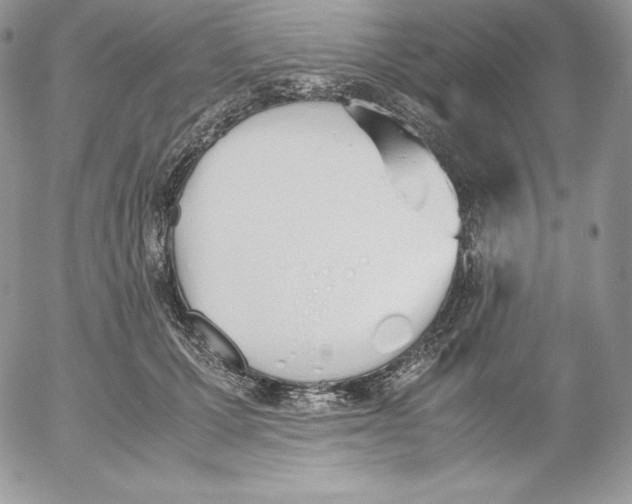 X0000052610607200507221701