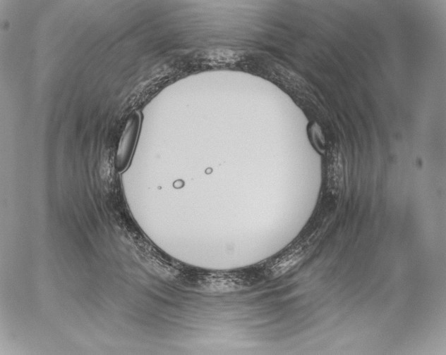 X0000052610608200507221701